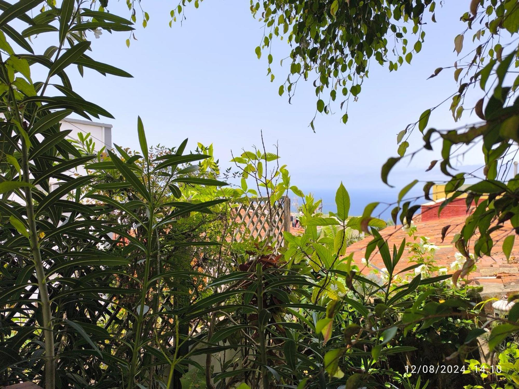 Casa Flora Garden Studio Sauzal Exterior photo